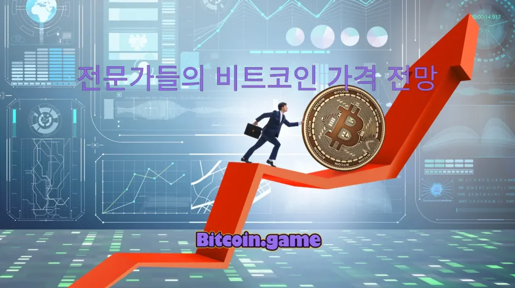 비트코인 가격 전문가 전망